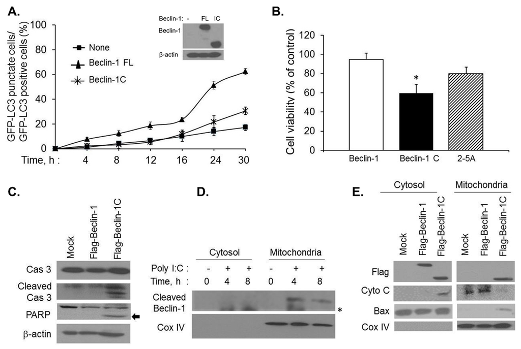 Ijms 16 17611 g005 1024