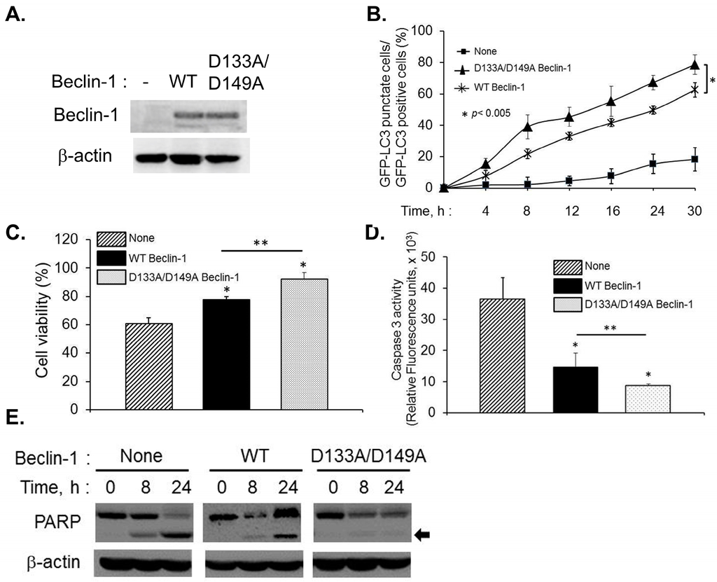 Ijms 16 17611 g006 1024