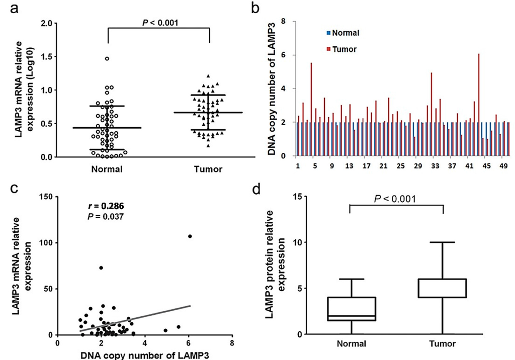 Ijms 16 17655 g001 1024