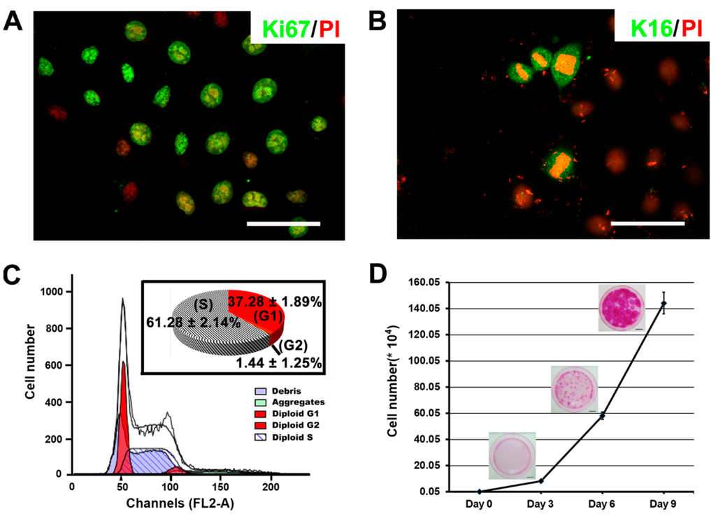 Ijms 16 17779 g003 1024