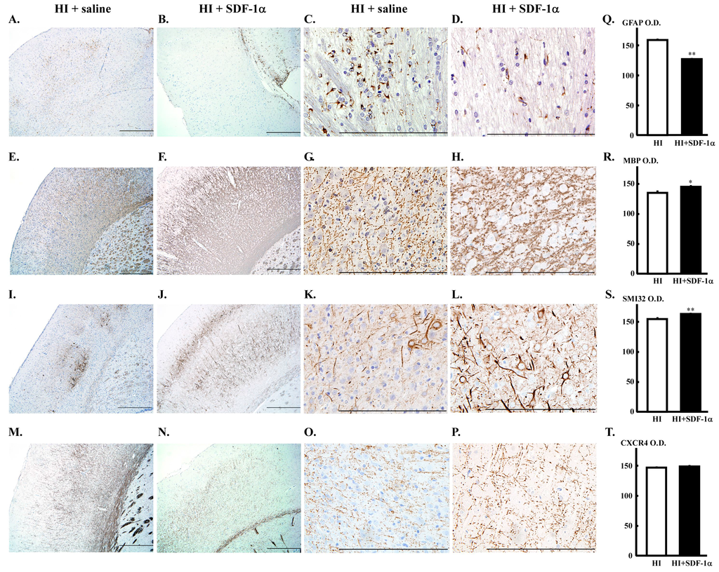 Ijms 16 18018 g005 1024