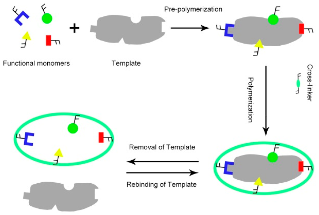 Ijms 16 18328 g001 1024