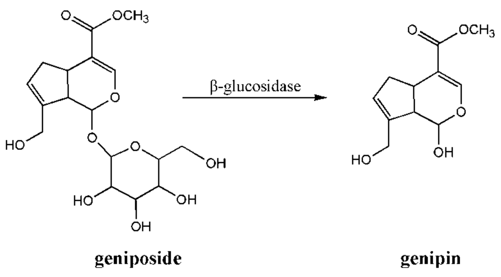 Ijms 16 18328 g005 1024