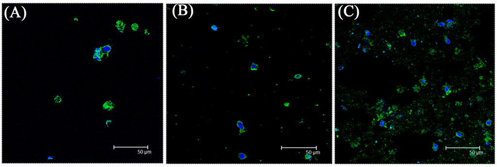 Ijms 16 18507 g006 1024