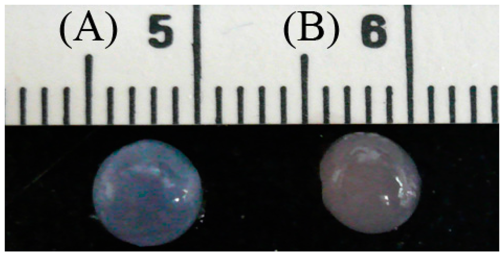 Ijms 16 18507 g007 1024