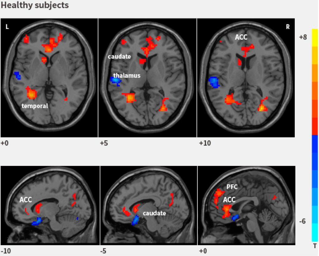 Ijms 16 18580 g001 1024