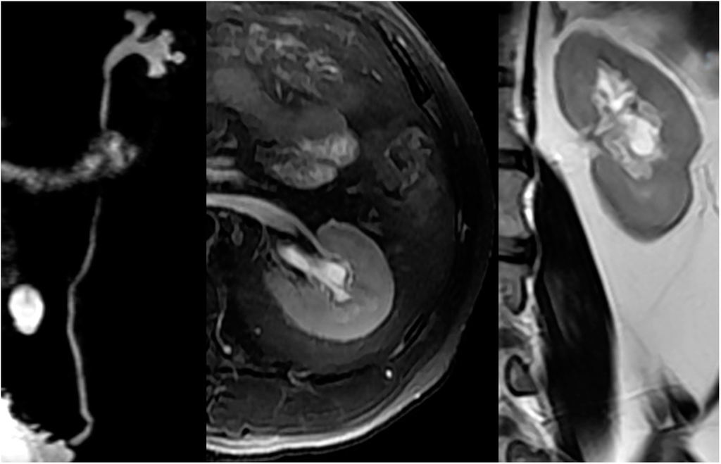 Ijms 16 18580 g003 1024