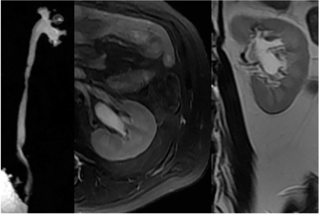 Ijms 16 18580 g004 1024