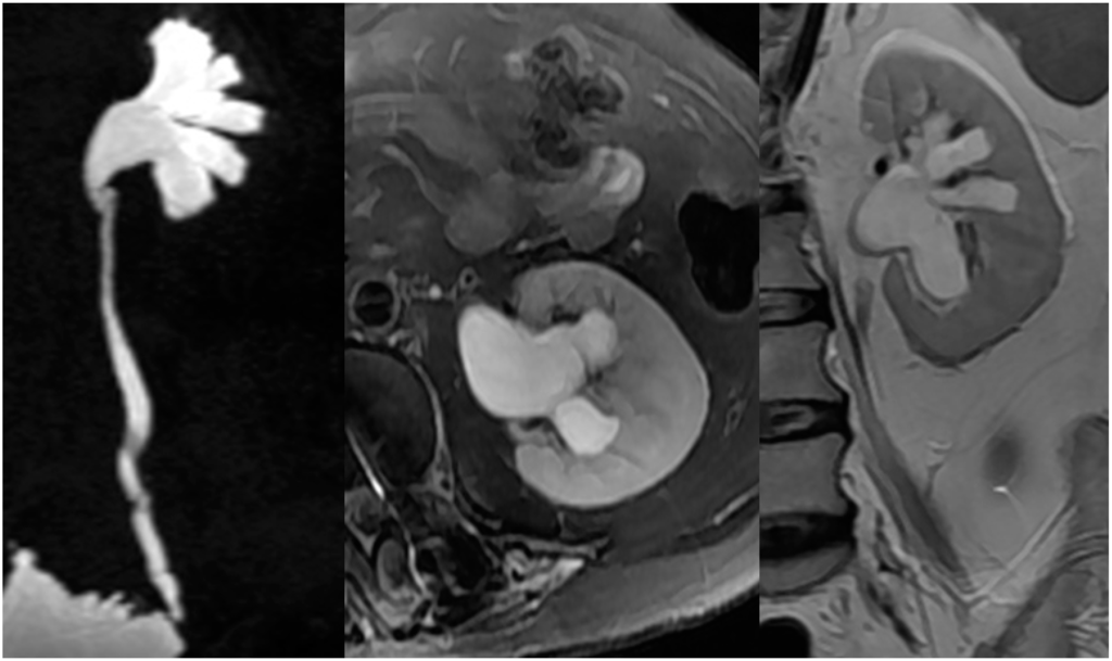 Ijms 16 18580 g005 1024