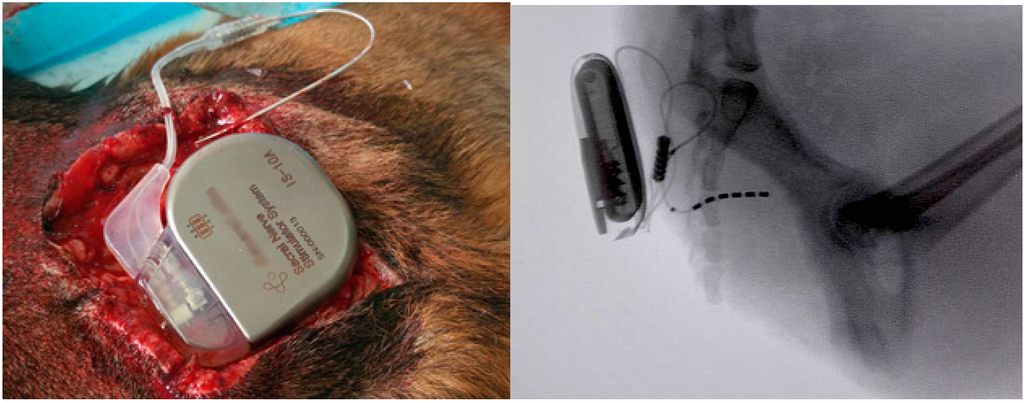 Ijms 16 18580 g008 1024