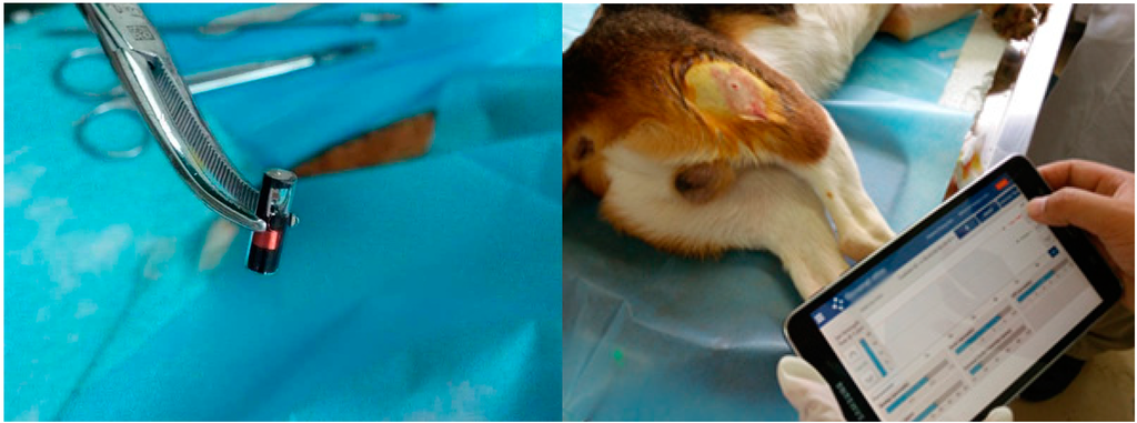 Ijms 16 18580 g009 1024