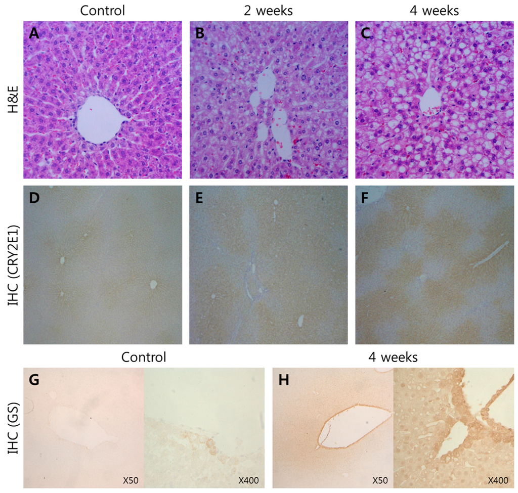 Ijms 16 18664 g001 1024