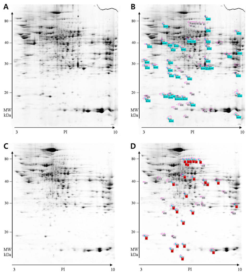 Ijms 16 18664 g002 1024