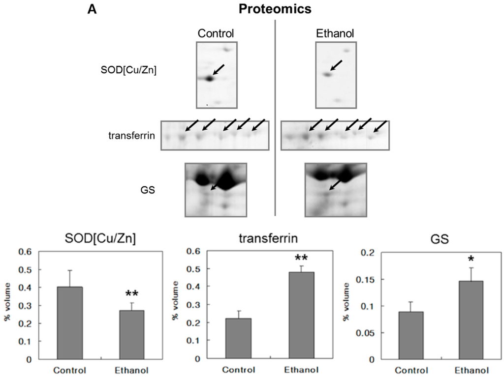 Ijms 16 18664 g003a 1024