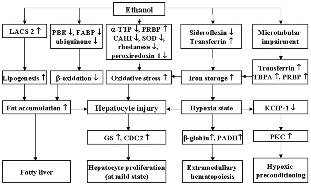 Ijms 16 18664 g004 1024