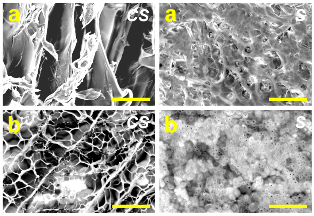 Ijms 16 18796 g001 1024