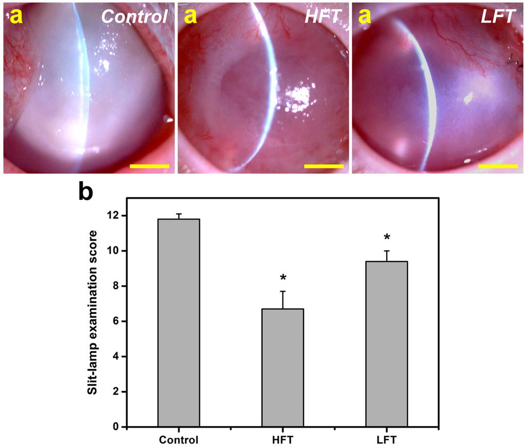 Ijms 16 18796 g007 1024