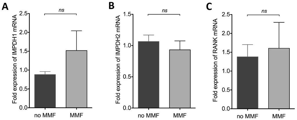 Ijms 16 18825 g003 1024