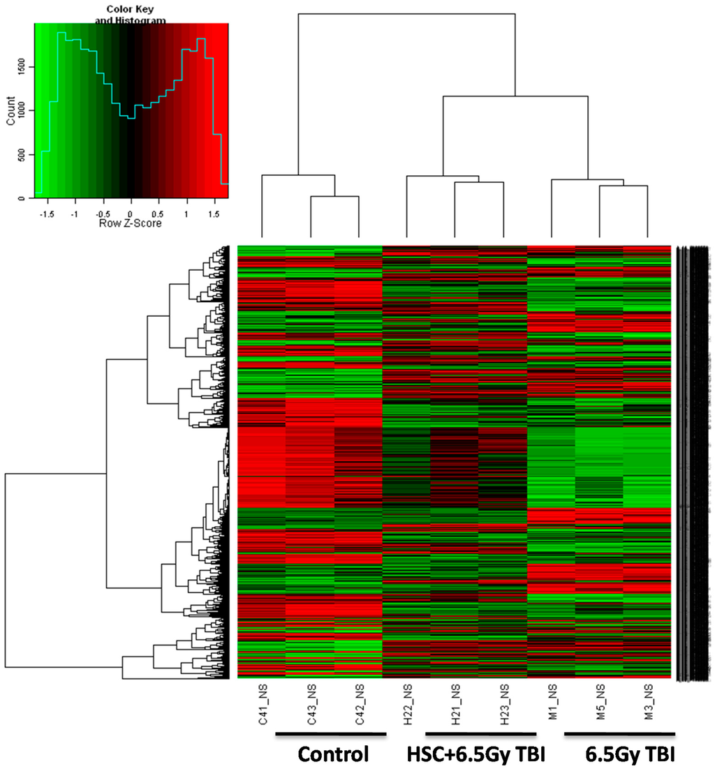 Ijms 16 18938 g003 1024