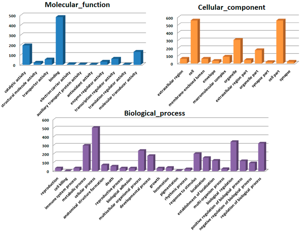 Ijms 16 18938 g004 1024