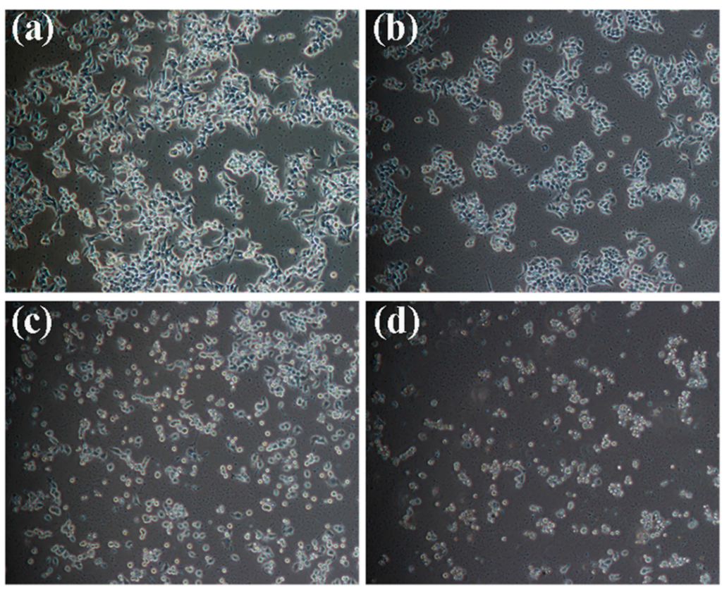 Ijms 16 18956 g002 1024