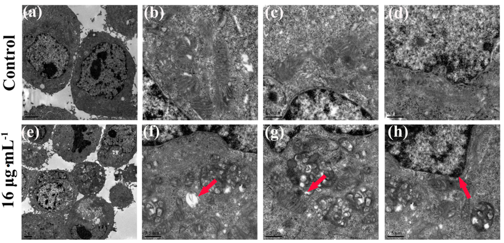 Ijms 16 18956 g007 1024