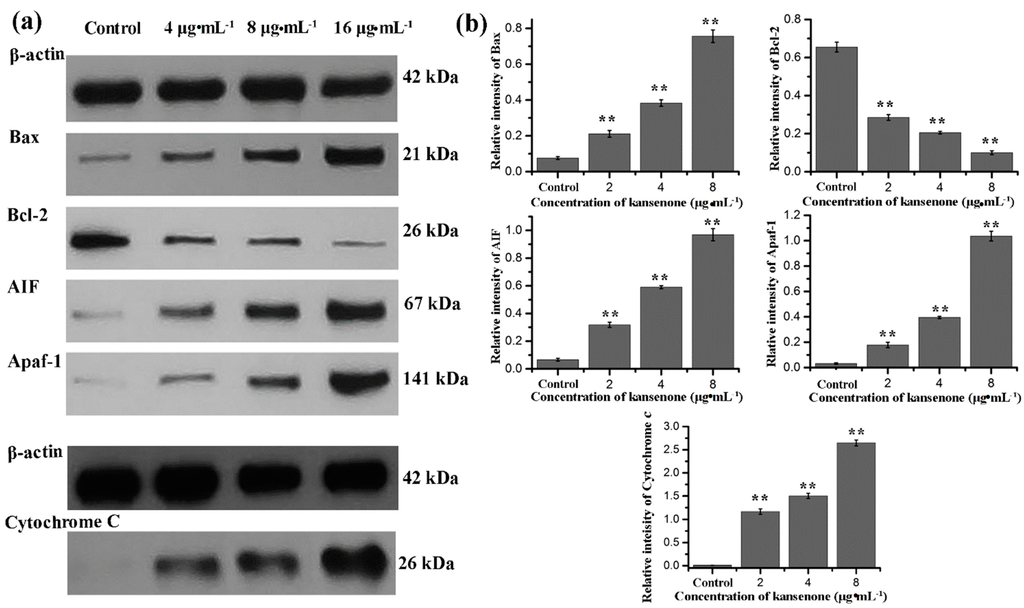 Ijms 16 18956 g009 1024