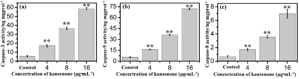 Ijms 16 18956 g010 1024