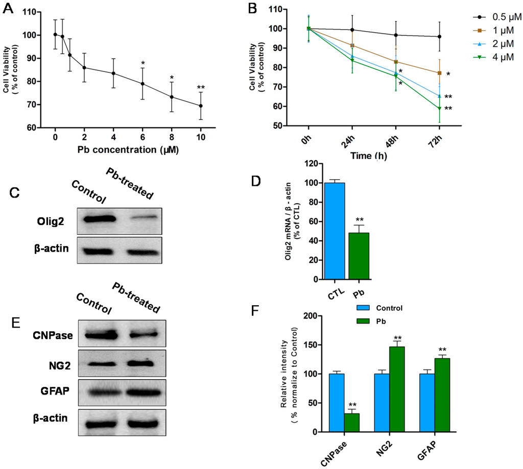 Ijms 16 19096 g001 1024