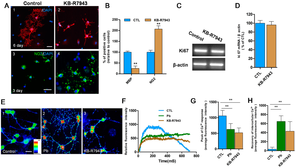 Ijms 16 19096 g003 1024