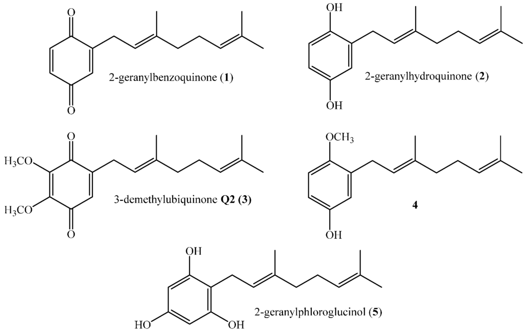 Ijms 16 19130 g001 1024