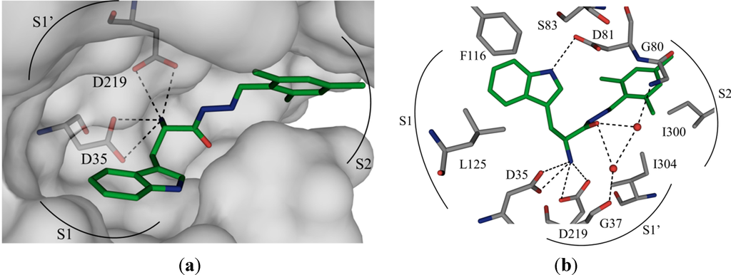 Ijms 16 19184 g001 1024