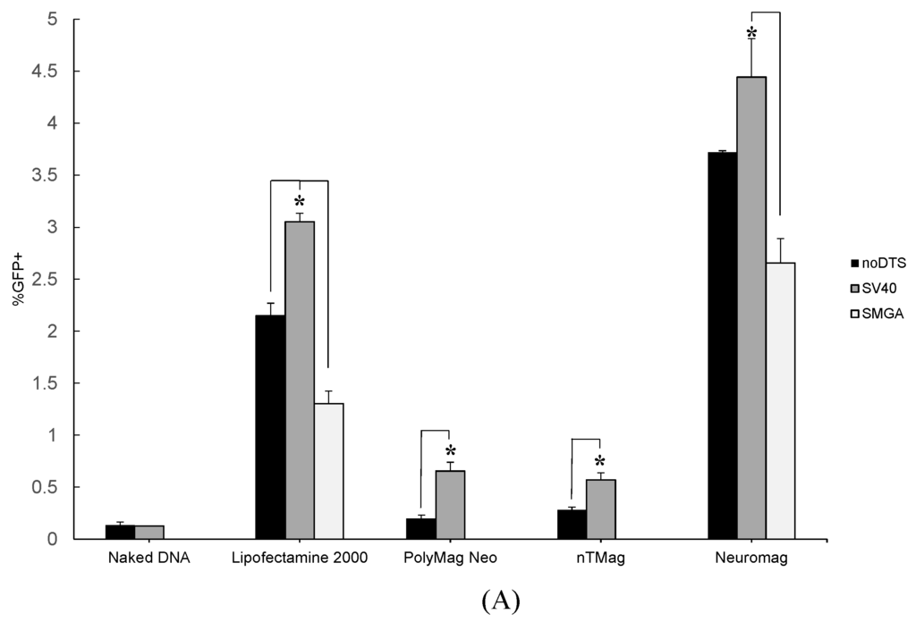 Ijms 16 19369 g003a 1024