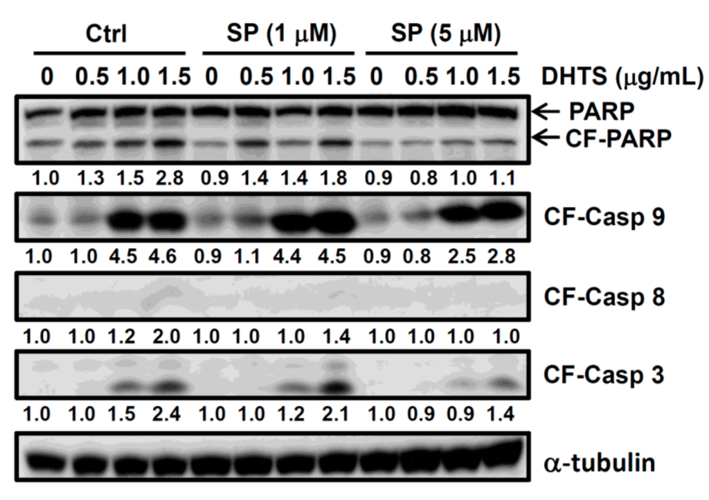 Ijms 16 19387 g005 1024