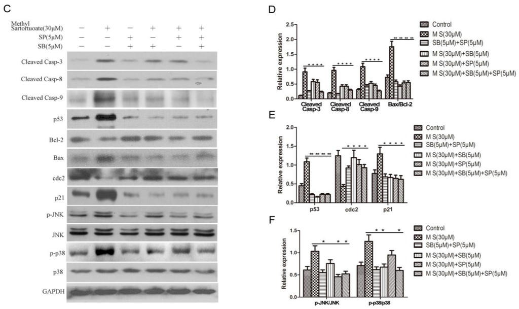 Ijms 16 19401 g006b 1024