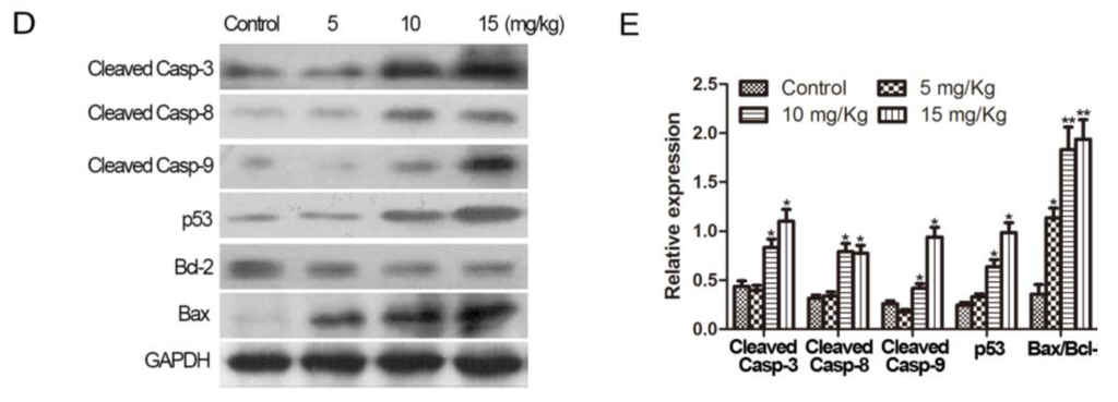 Ijms 16 19401 g007b 1024