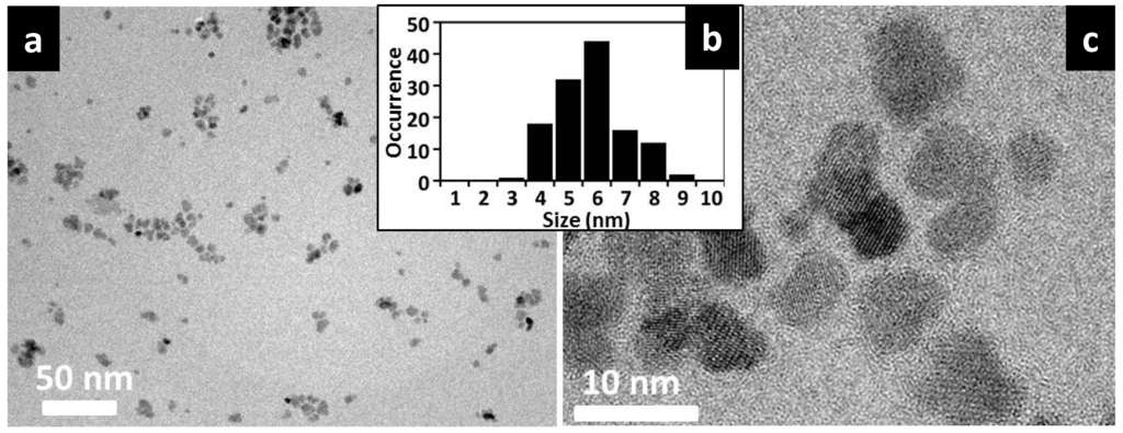 Ijms 16 19752 g001 1024