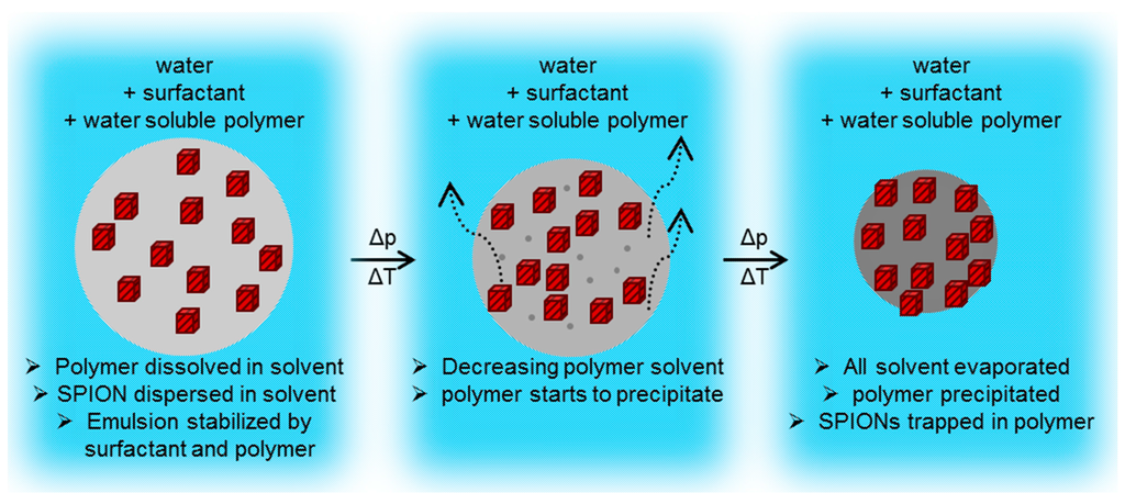 Ijms 16 19752 g011 1024