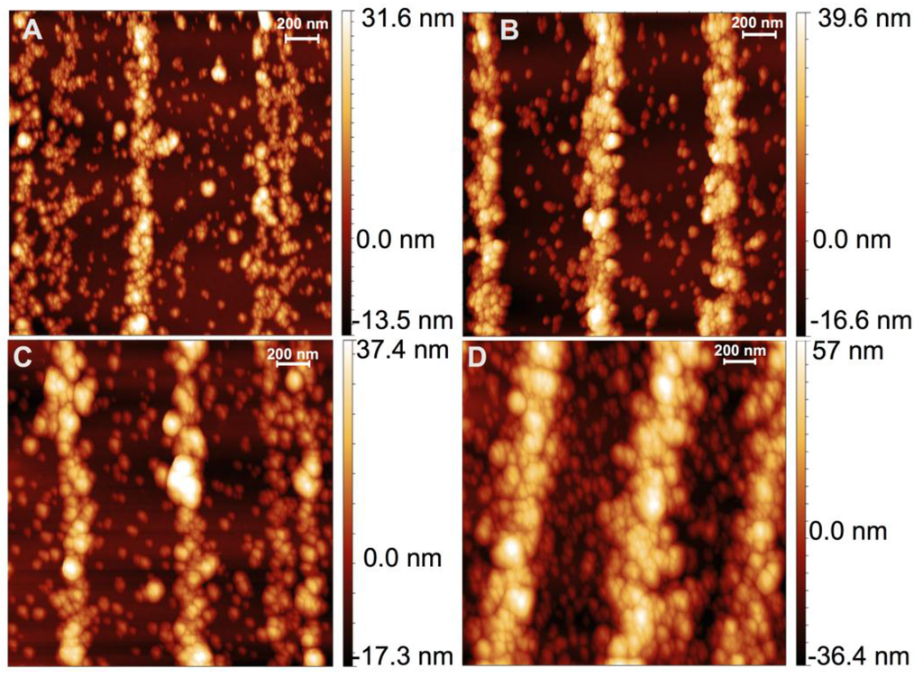 Ijms 16 19769 g003 1024