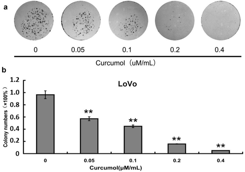 Ijms 16 19851 g002 1024