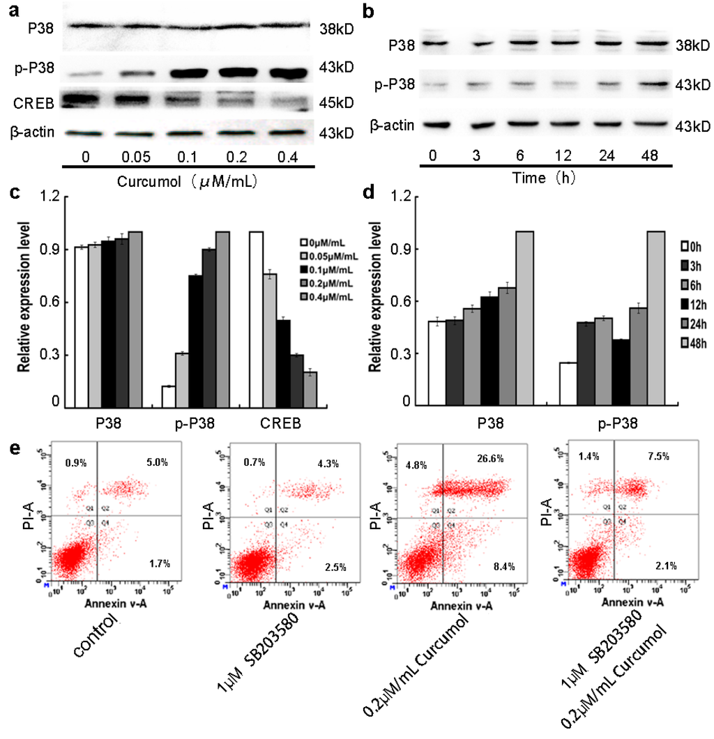 Ijms 16 19851 g005 1024