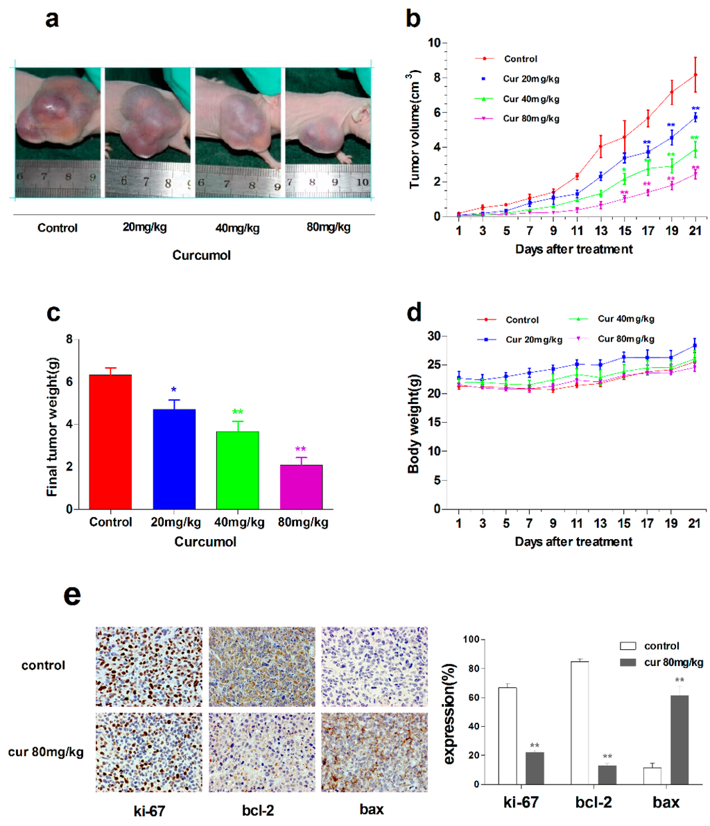 Ijms 16 19851 g006a 1024