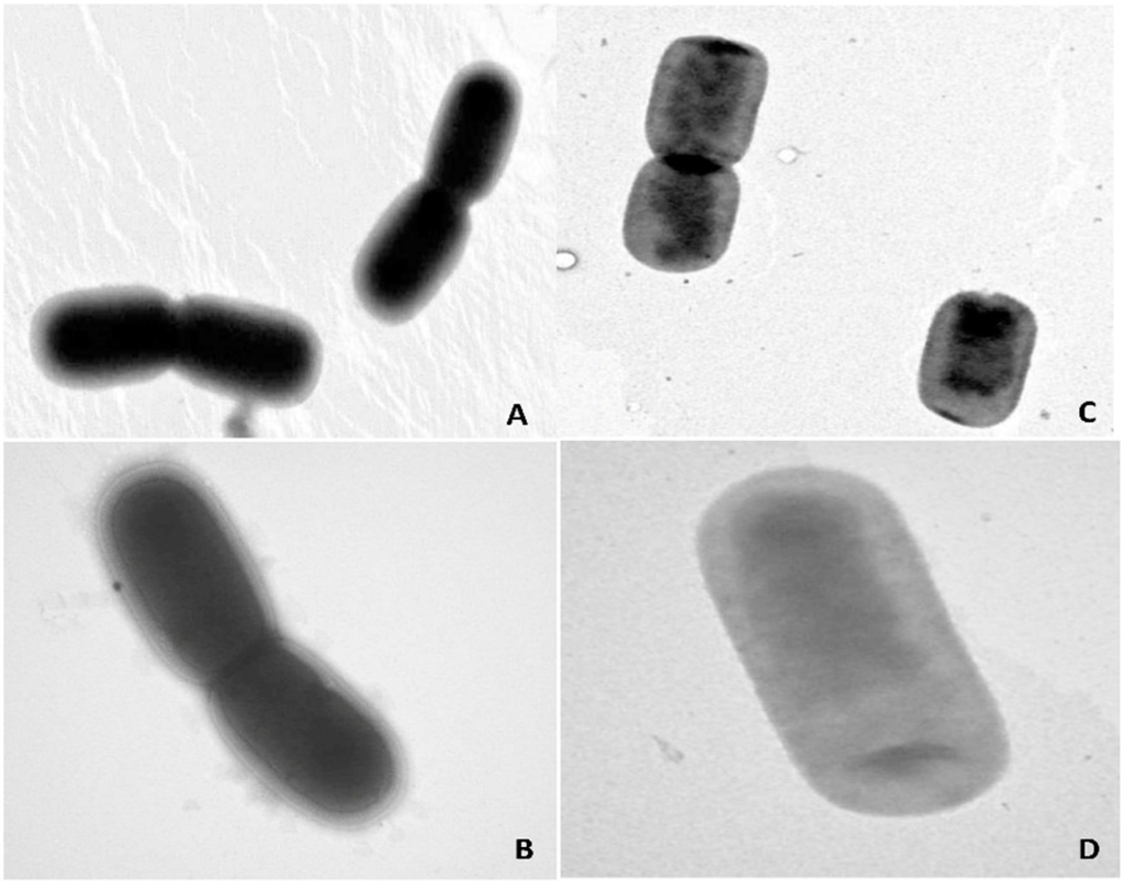 Ijms 16 20033 g001 1024