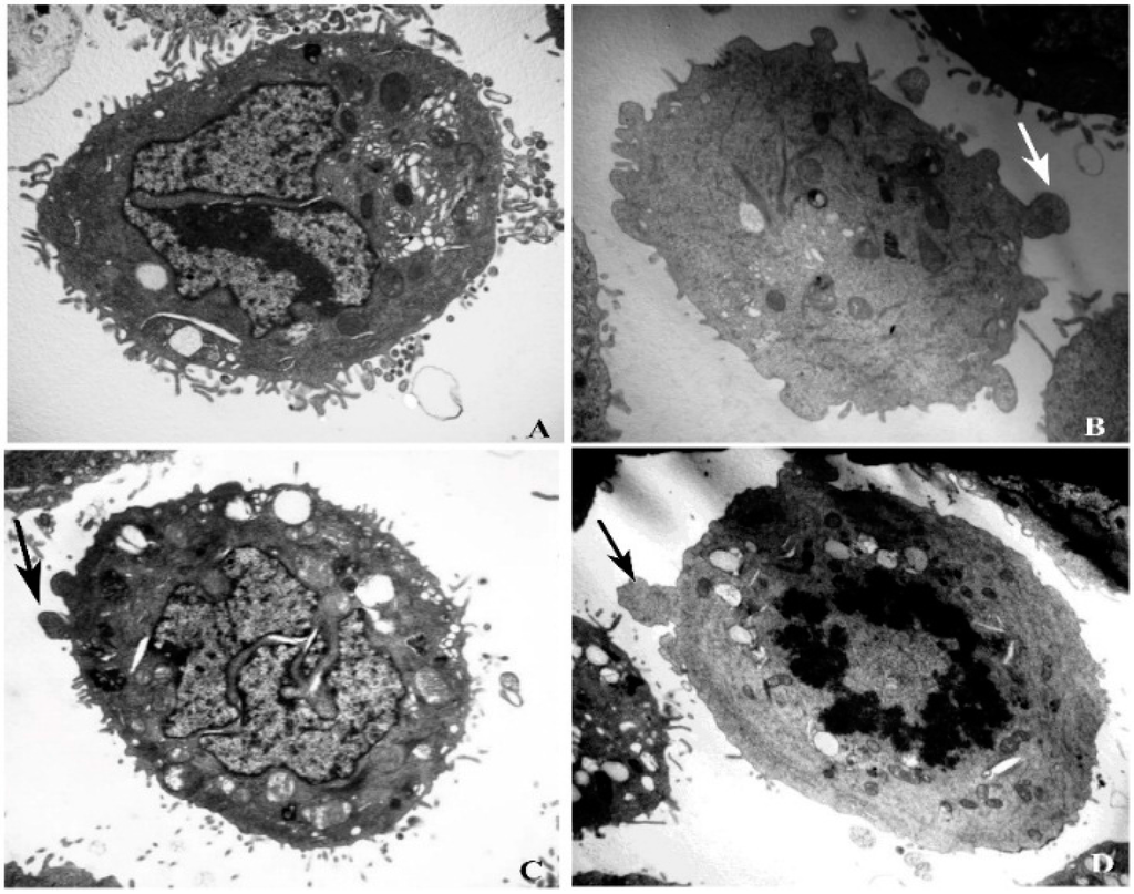 Ijms 16 20033 g003 1024