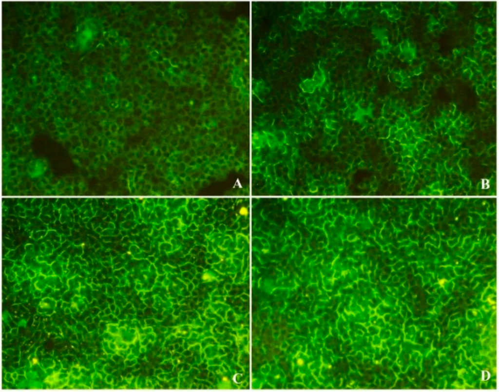 Ijms 16 20033 g005 1024