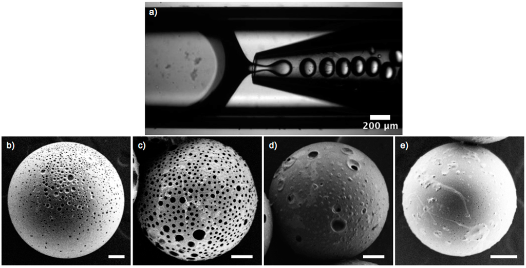Ijms 16 20183 g003 1024