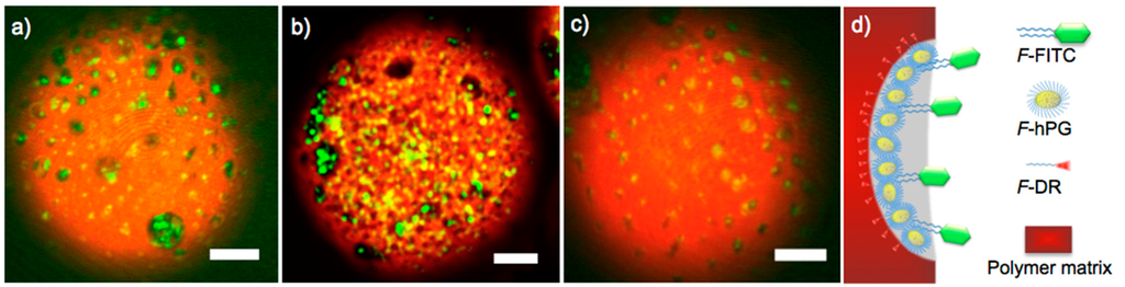 Ijms 16 20183 g004 1024