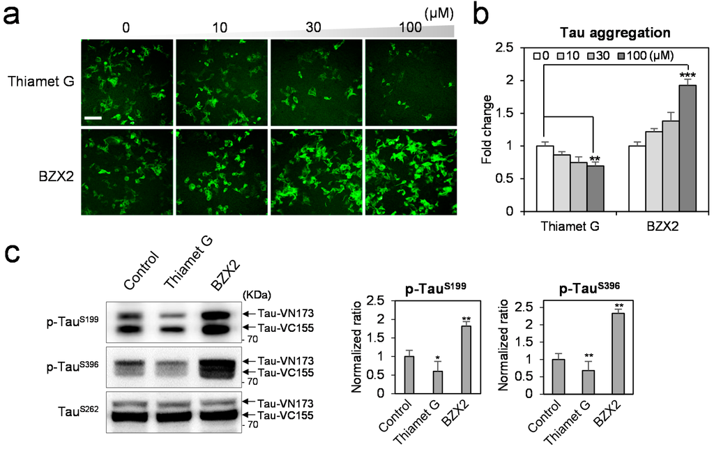 Ijms 16 20212 g001a 1024