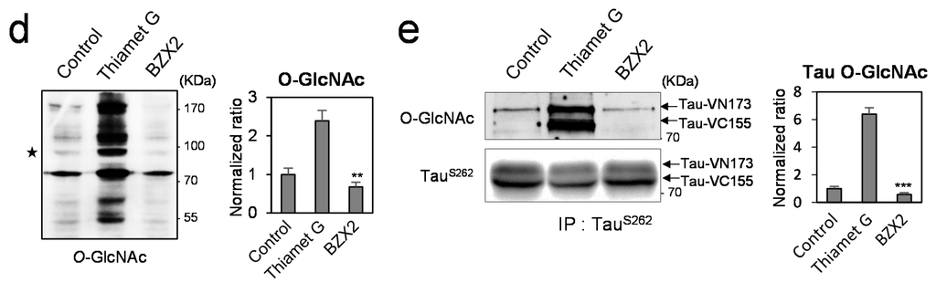 Ijms 16 20212 g001b 1024