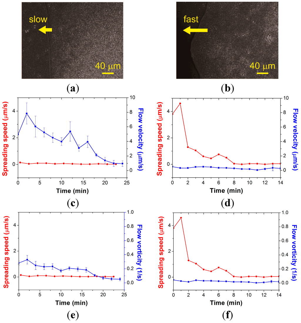 Ijms 16 20225 g003 1024